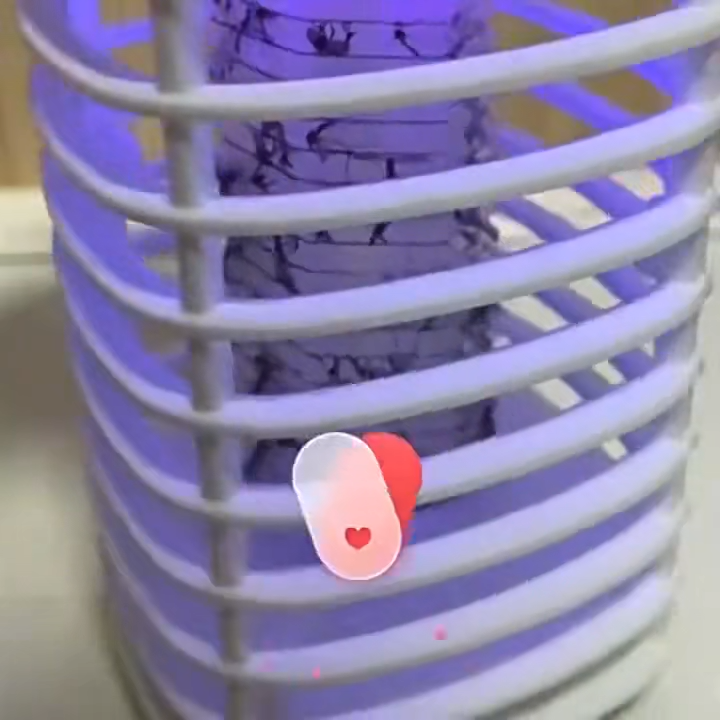 Electric mosquitoes killer lamp